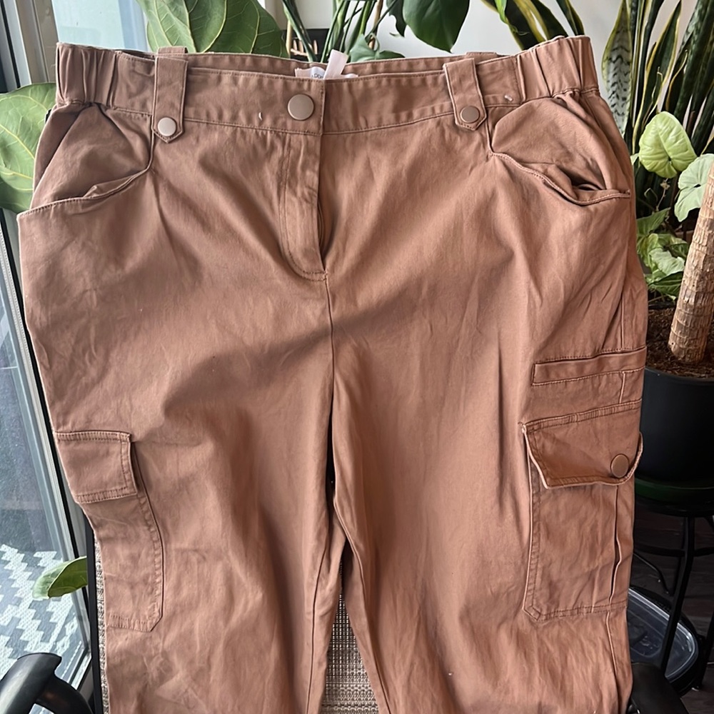 2 for $35 pants size 16 Additionelle and size 2XL SHEIN